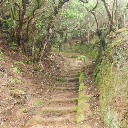 Casa Del Cu Bano B- Biosphere Reserve Santa Cruz de Tenerife Ngoại thất bức ảnh