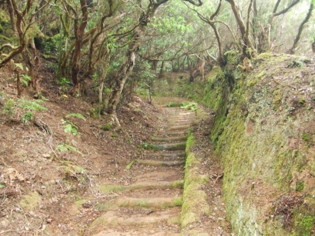 Casa Del Cu Bano B- Biosphere Reserve Santa Cruz de Tenerife Ngoại thất bức ảnh